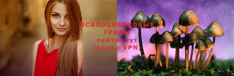 купить наркотик  Карпинск  ОМГ ОМГ ССЫЛКА  Псилоцибиновые грибы MAGIC MUSHROOMS 